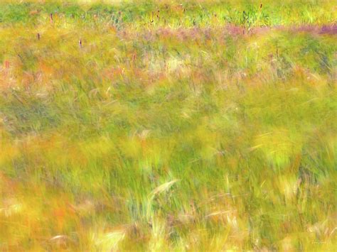 Wind Painting Photograph By Leland D Howard Fine Art America