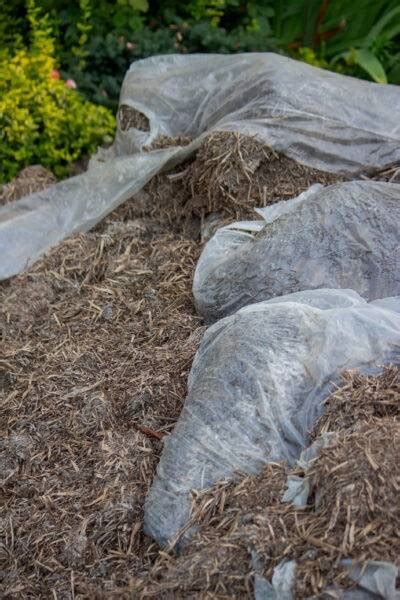 Mulch Testing For Asbestos In Australia Enviroforce