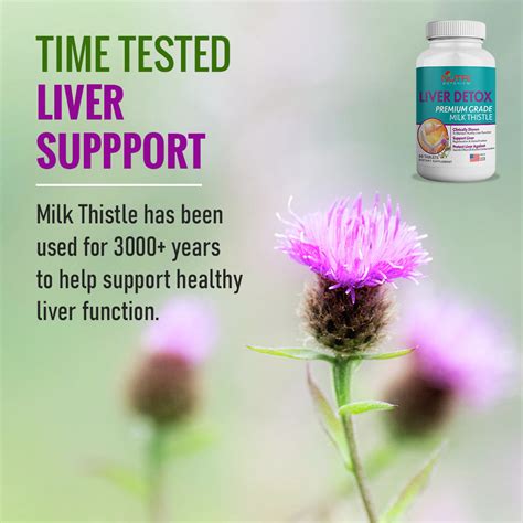 Liver Detox Milk Thistle Supplement Liver Health Supplement Vitaminmall