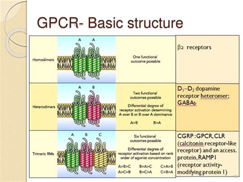 G- Protein Coupled Receptors