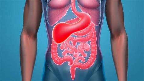 Dor De Barriga Com Frequência - Entenda sua dor na barriga e o que ela pode indicar