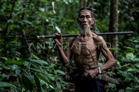 Suku Pemburu Dan Peramu Terakhir Di Kalimantan ANTARA Foto