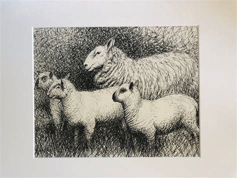 Matted Print From Henry Moores Sheep Sketchbook 1980 Sheep Group