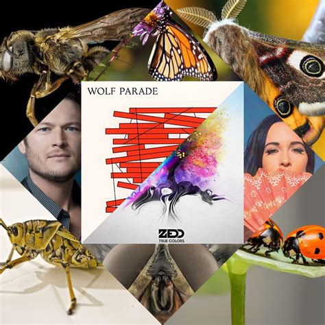 11 Colorful Songs About Various Bugs | Playlist