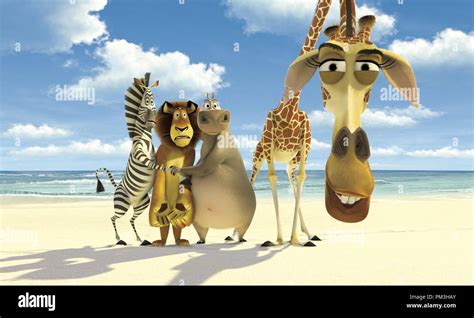 Melman alex marty gloria madagascar hi-res stock photography and images ...