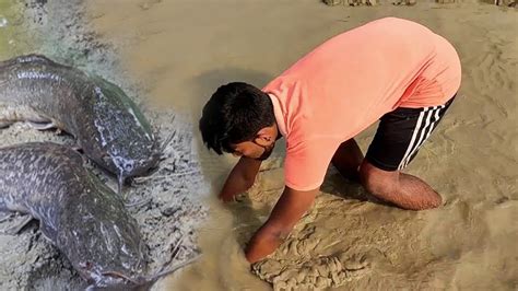 Best Mud Water Fishing Amazing Boy Catching Giant Big Catfish By Hand