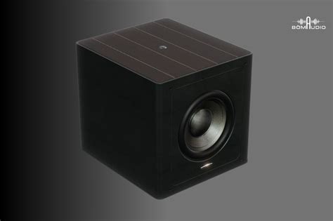 Loa Subwoofer Sonus Faber Gravis V