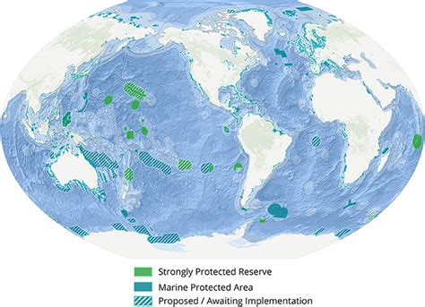 Frontiers Incentivizing More Effective Marine Protected Areas With