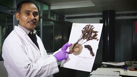 What Is A Herbarium Csir Nbri Youtube