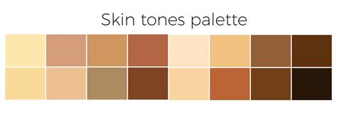 skin color palette human skin tone colors  vector art  vecteezy