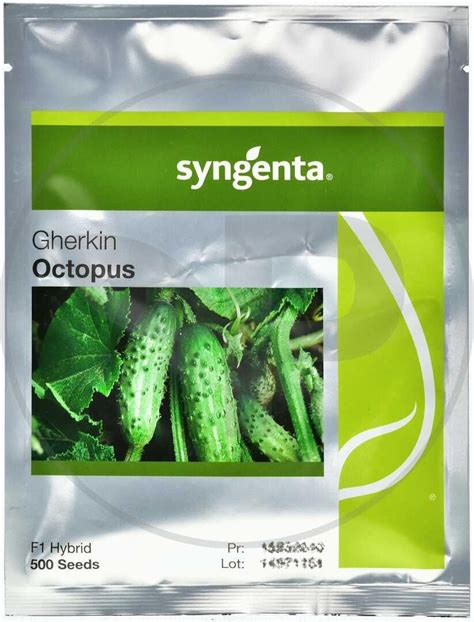 Syngenta Og Rek Gruntowy Octopus F Nasion Ceny I Opinie Ceneo Pl