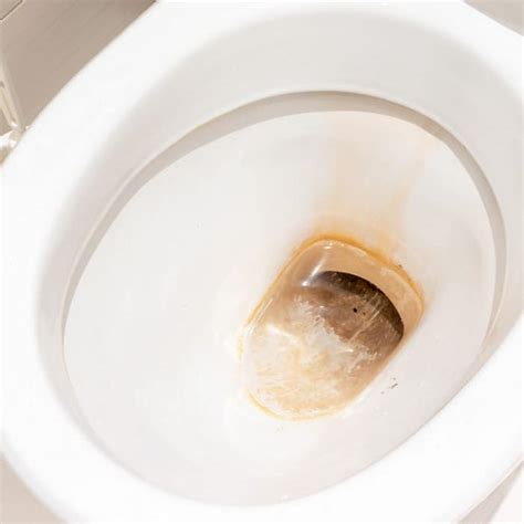 How To Remove Limescale From Toilet