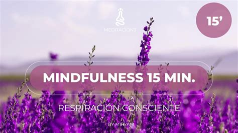 Meditación Guiada Mindfulness Atención Plena 15 Minutos Youtube