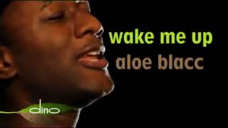 Aloe Blacc Wake Me Up Onscreen Lyrics Deyoasi Youtube