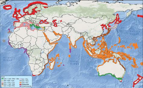 Seagrass Species Estimated Distribution In Europe Africa Asia And Download Scientific Diagram