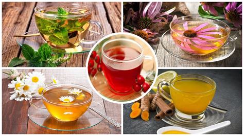 Benefits Of Herbal Teas 🍮 Best Herbal Teas For Health Top Healing Herbal Teas Drinking Tea