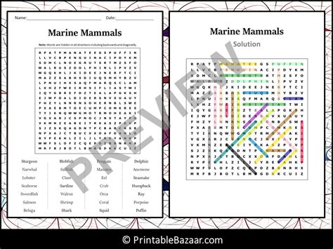 Marine Mammals Word Search Puzzle Worksheet Activity Teaching Resources