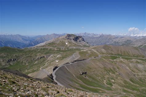 Seealpen ein Eldorado für Blumenfreunde NVW