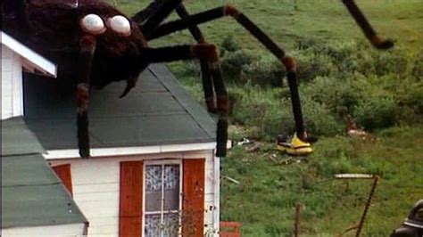 The Giant Spider Invasion 1975