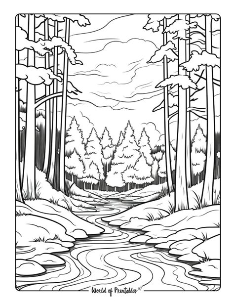 Forest Coloring Pages World Of Printables