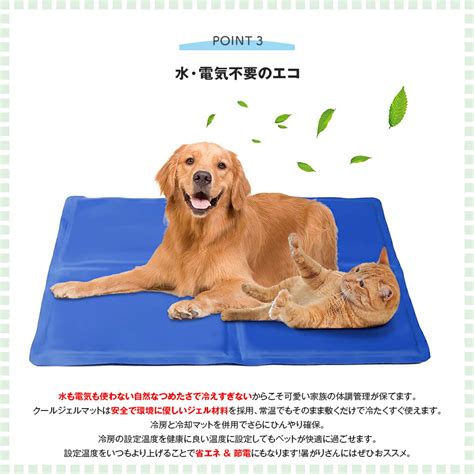 【楽天市場】ペット クールマット ペット用 クールマット ひんやり ペットベッド 50×40cm 犬 猫 うさぎ 冷却マット 冷えマット エコ