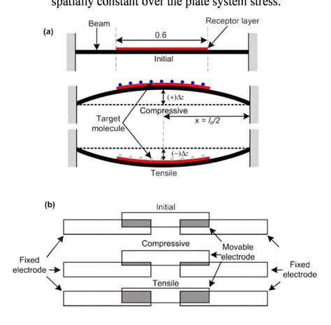 Figure 2 From A Micromechanical Biosensor With Interdigitated Capacitor