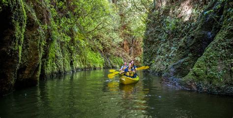 Top Top 15 Freedom Camping Spots In The North Island Britz Campervans Nz