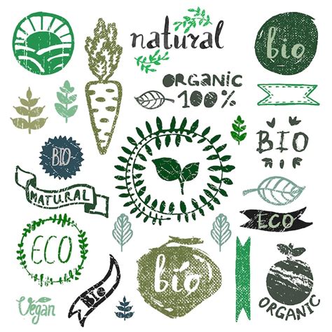 Premium Vector Watercolor Logotypes Set Badges Labels Green Branches