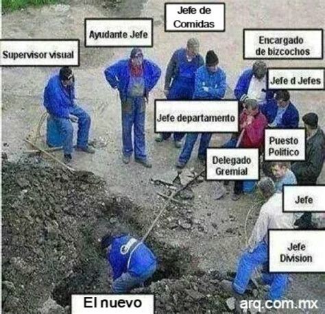 Humor En La Arquitectura Jerarqu As Laborales Noticias De