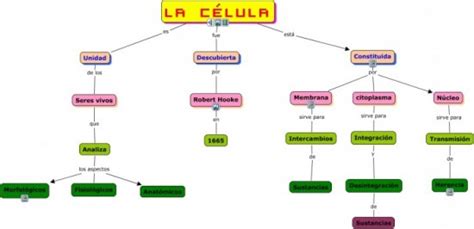 Cuadro Sinoptico De Organelos Celulares Farez