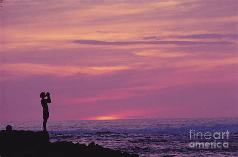 Conch Shell Blower Photograph By William Waterfall Printscapes Pixels