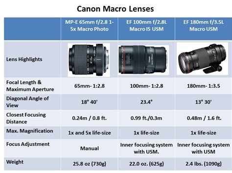 The Macro Lenses Explained Samples And Recommendations Macro Lens