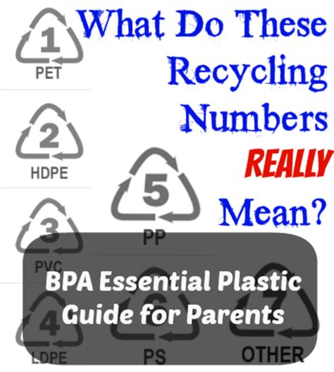 What Does Bpa Free Mean And Why Is Bpa So Dangerous HubPages