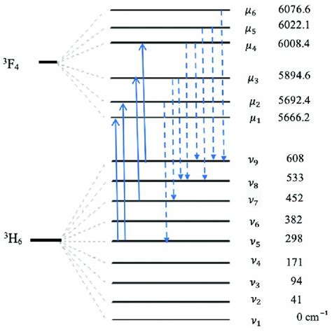 Energy Levels Scheme Of H And F Manifolds Tm Ion In Ln