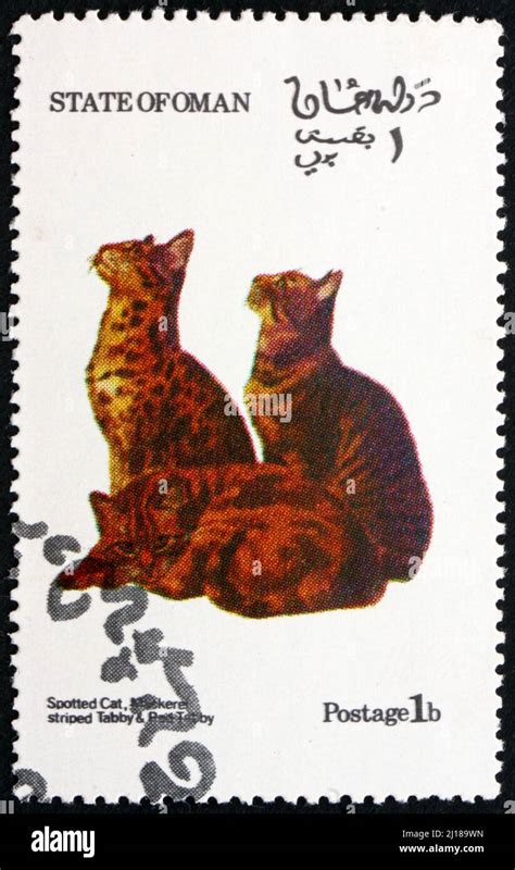 OMAN CIRCA 1973 A Stamp Printed In State Of Oman Shows Spotted Cat