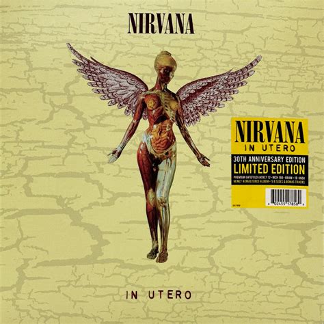 Nirvana – In Utero (30th Anniversary) - Vinyl Spiral