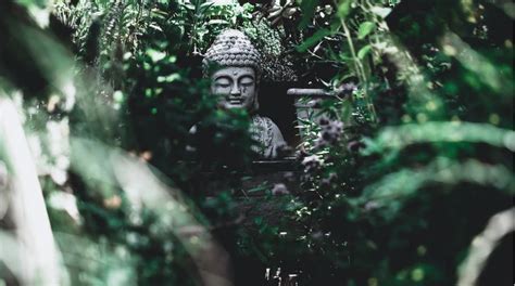 Buddha and Mara: Accept Your Negative Feelings | Shortform Books