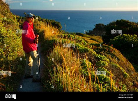 Headland Trail View Port Orford Heads State Park Oregon Stock Photo