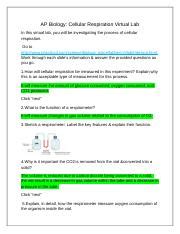 Ap Biology Cellular Respiration Interactive Lab Docx Ap Biology