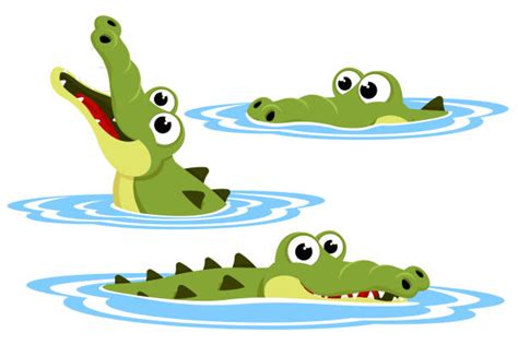 Crocodile In Water Clipart 51 Koleksi Gambar