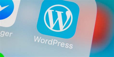 5 Common WordPress Myths Debunked Bull Media Ltd