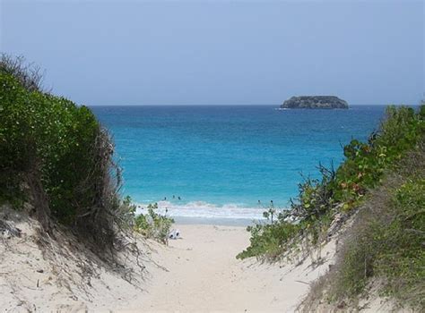 Photos of Saline Beach, Saint Barthelemy photo Gustavia