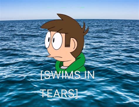 Back To Memes EW Community Eddsworld Amino