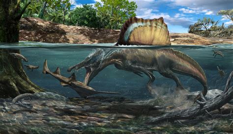 Dinosaur King Carnotaurus Vs Spinosaurus