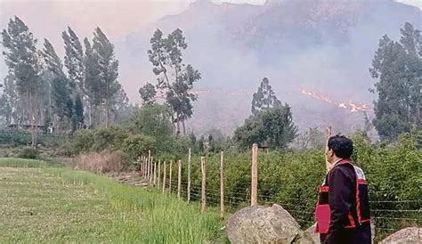 Incendios Forestales Destruyeron Flora Y Fauna En Cusco Lrsd Sociedad