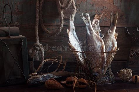 Still Life With Dried Fish Stock Image Image Of Hanging 85932677