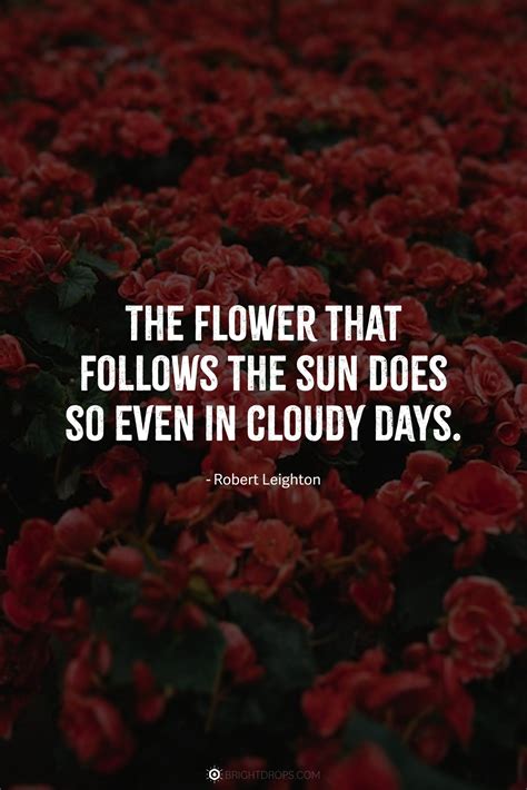 87 Short Flower Quotes (With Photos!) - Bright Drops