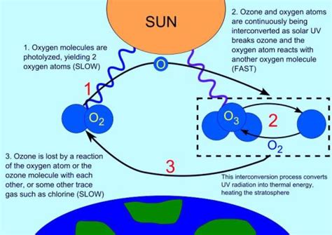 Environment for Kids: Ozone Layer Depletion