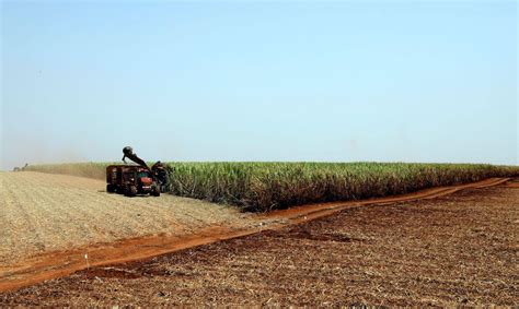 CNA apresenta propostas para Plano Agrícola e Pecuário 2020 2021 ROLNEWS