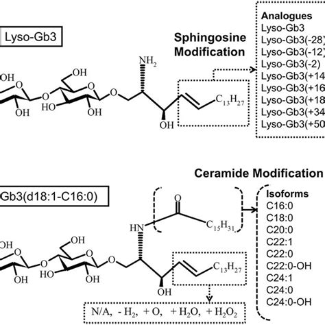 PDF Distributions Of Globotriaosylceramide Isoforms And